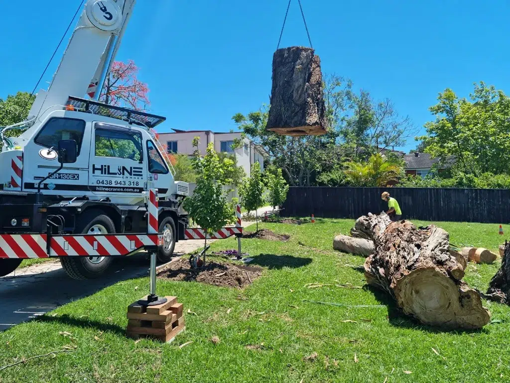 Tree Stump Removal Crane