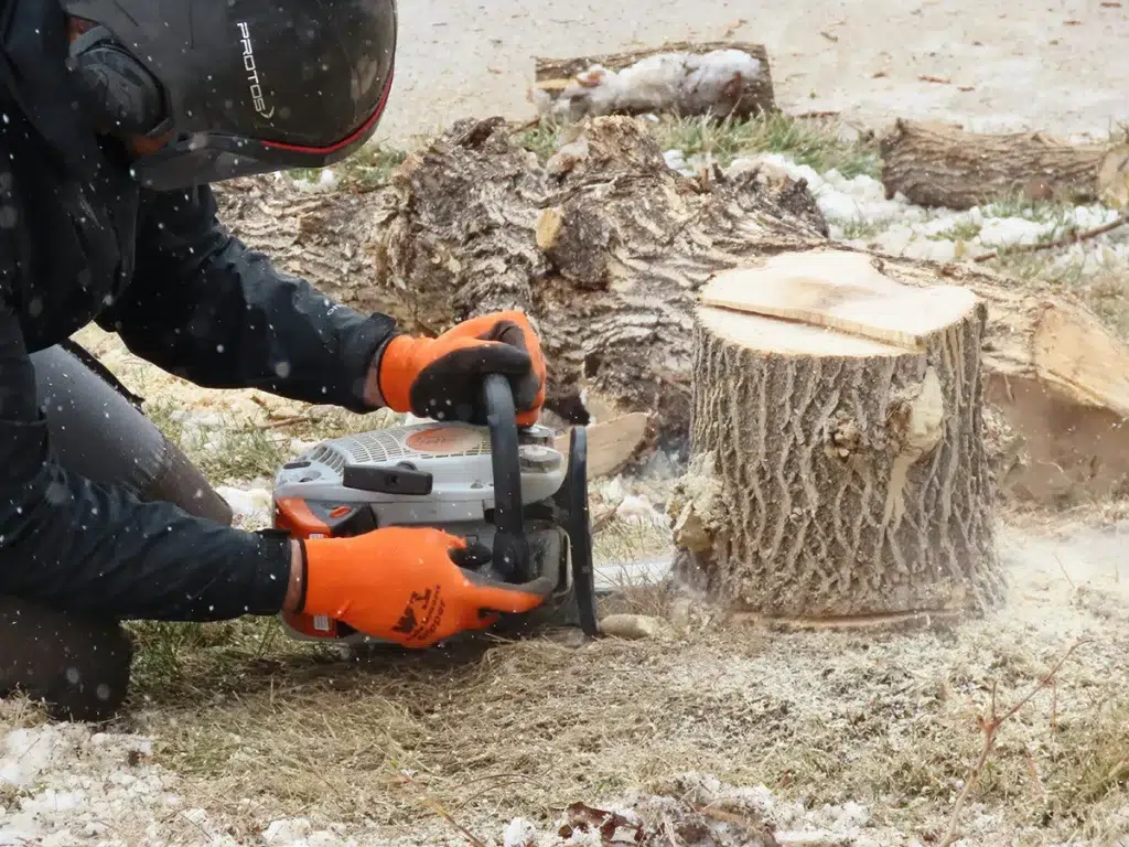 Tree Stump Removal Saw